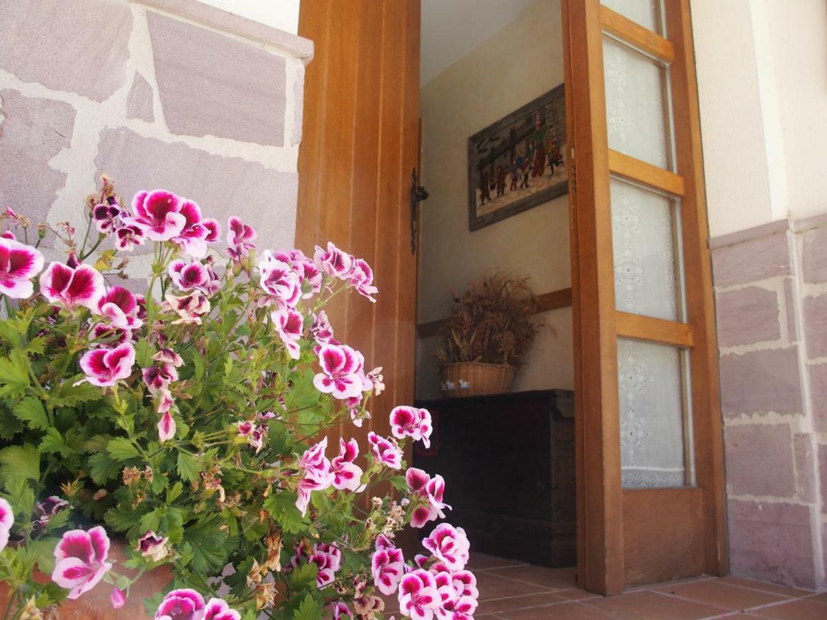 Casa Rural Txolinenea Guest House Lantz Exterior photo